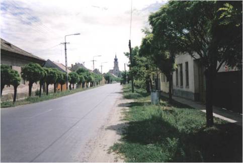Hauptstraße von Elek aus Kétegyháza kommend